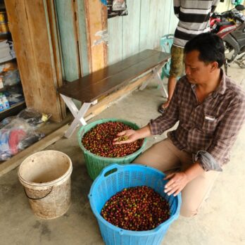 asman arianto - indonesia